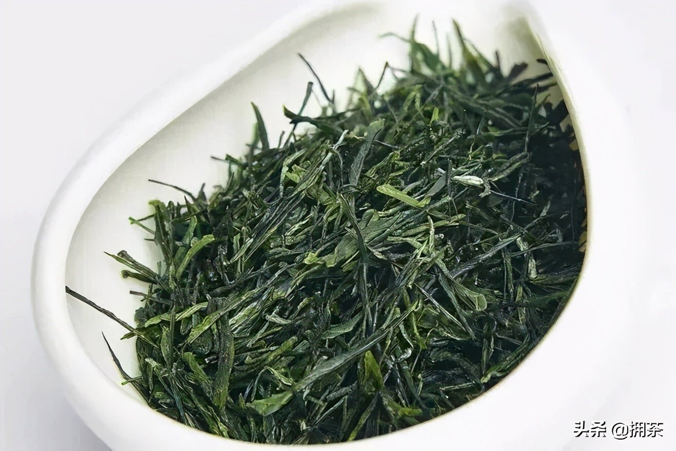 贡茶遗风 实景氛围图