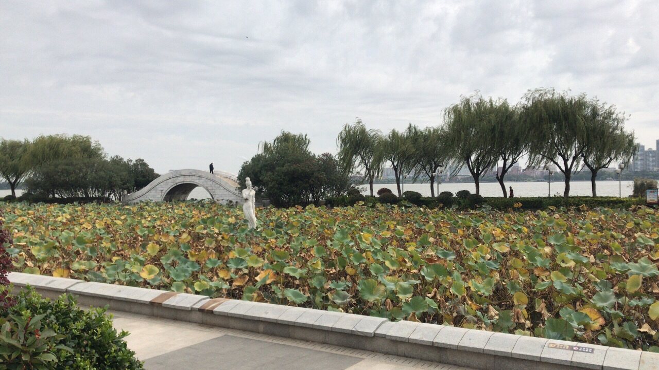 宜兴团氿 · 2026团氿风景区-宜园游玩攻略 宜兴实景照片