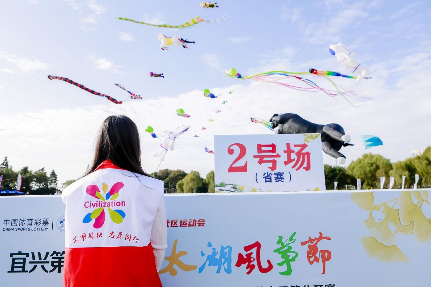 节庆民俗 · 第二十四届太湖风筝节开幕 近30 宜兴实景照片