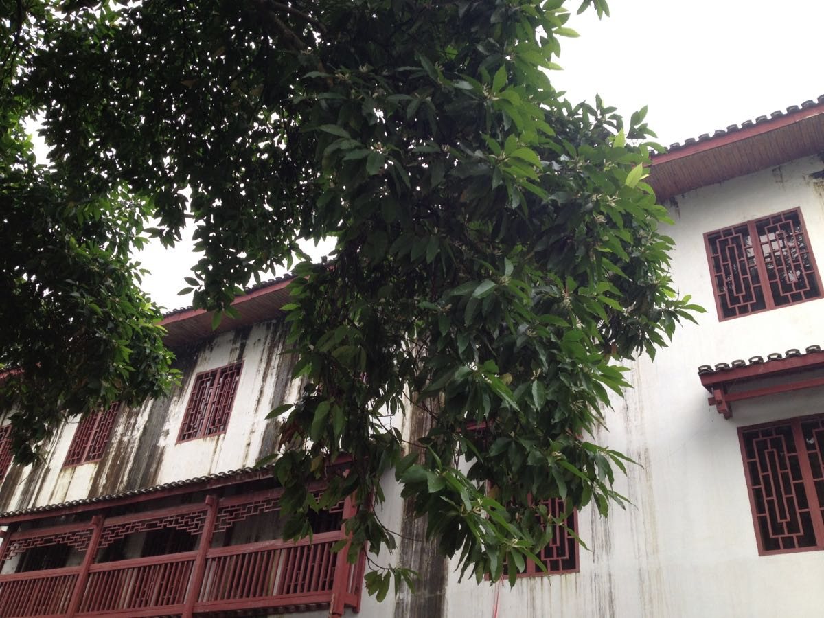 徐悲鸿故居 · 2026徐悲鸿故居陈列馆游玩攻略 宜兴实景照片