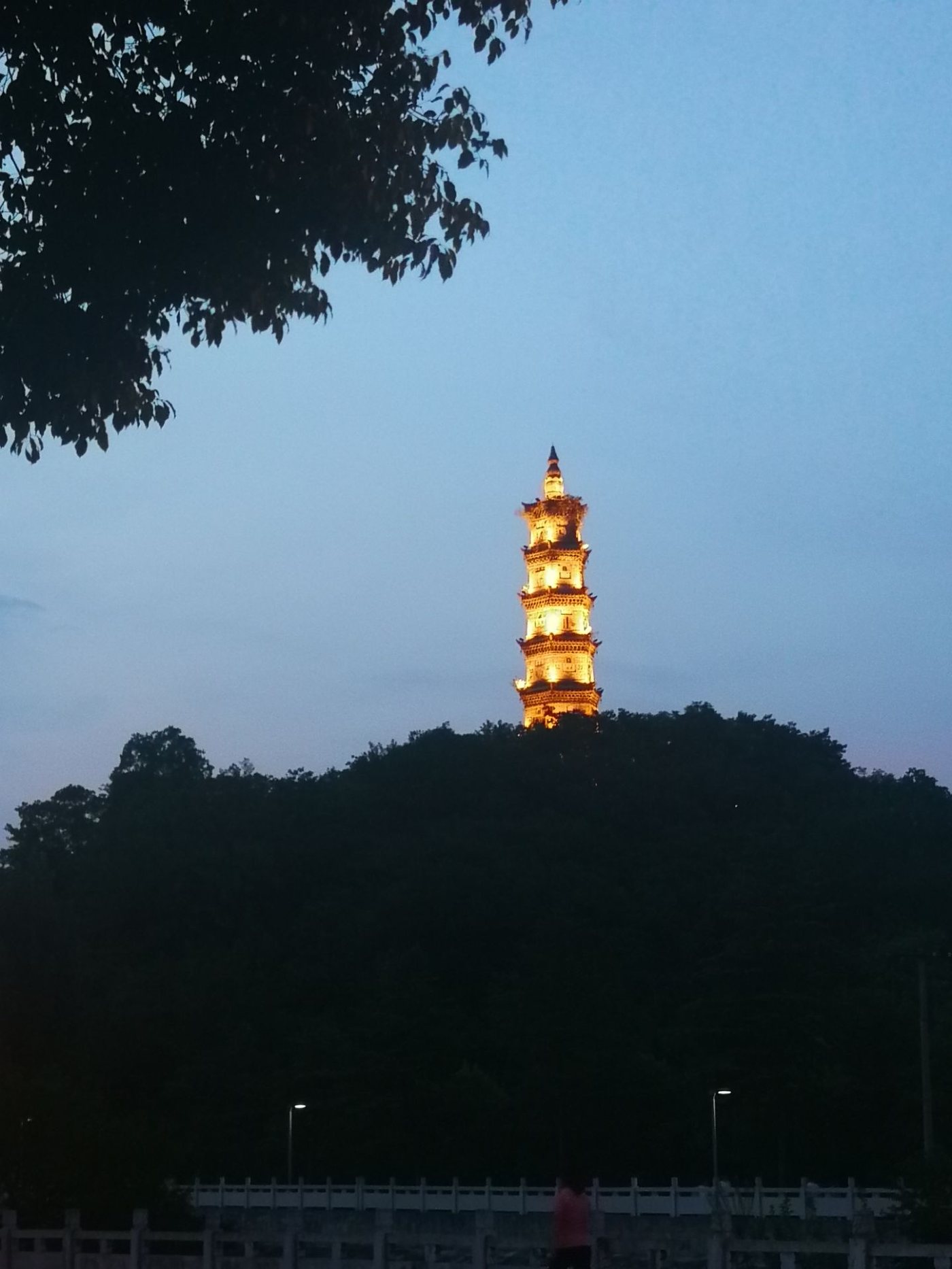 龙背山森林公园 实景