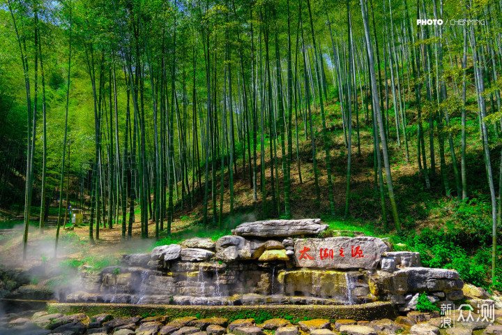 宜兴竹海实景