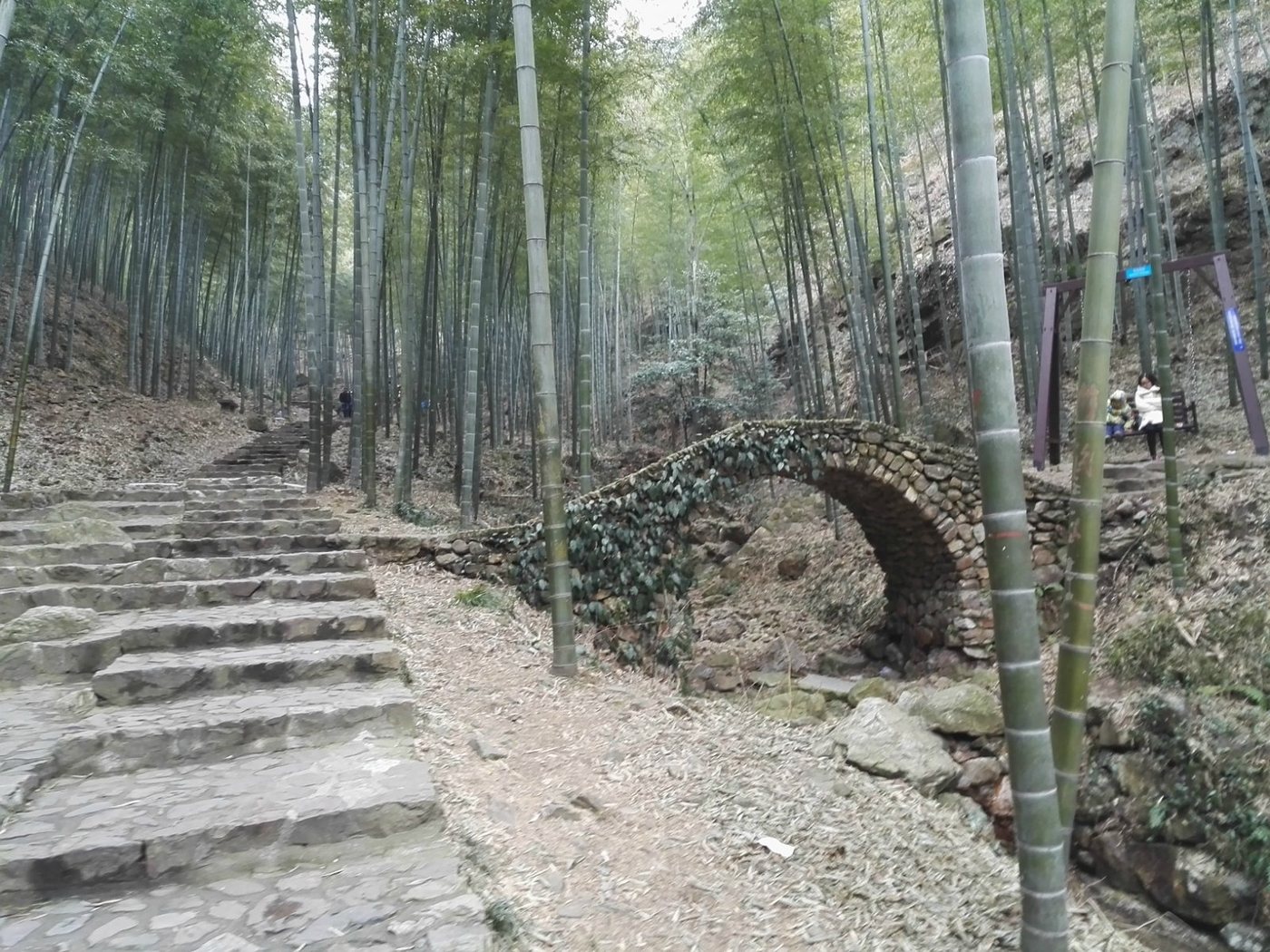 宜兴山水竹海实景