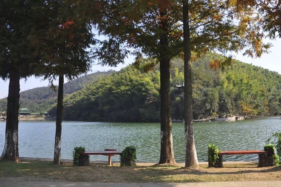 宜兴竹海 · 来宜兴看竹海，住幽幽竹林里的宜兴 宜兴实景照片