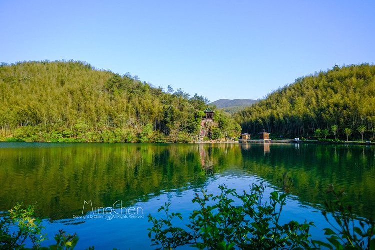 宜兴竹海风景区 · 春日美好，不负好时光，快来宜兴竹 宜兴实景照片