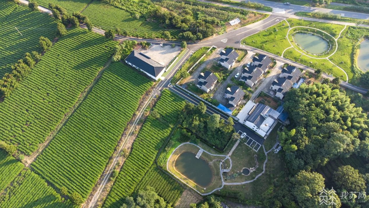 宜兴美丽乡村 · 宜兴西渚：聚力乡村振兴 留住美丽 宜兴实景照片