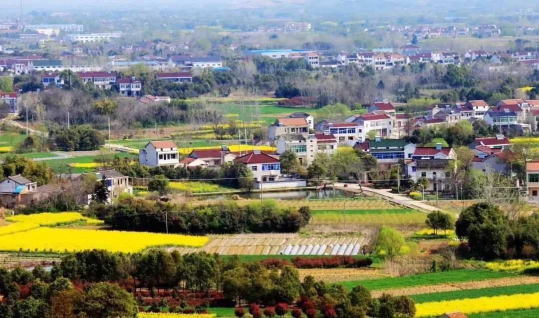 芳桥街道风貌